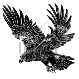 Flying Hawk Tattoo Design - Transparent background - Download Detailed High Resolution Image PNG File
