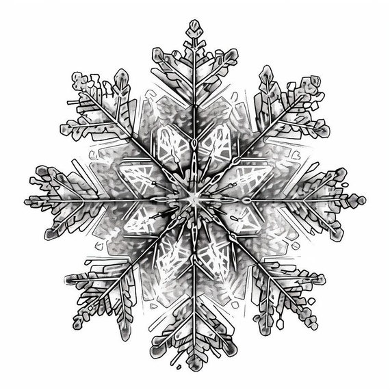 snowflakes' in Tattoos • Search in +1.3M Tattoos Now • Tattoodo