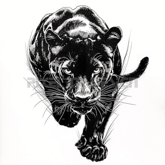 Carolina Panthers Temporary Tattoo Sticker - OhMyTat