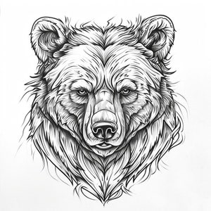 Desenho de tatuagem de urso - Baixe Arte digital de alta resolução PNG Fundo transparente | Estêncil de tatuagem SVG para impressão