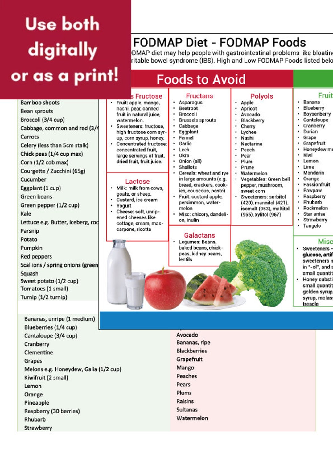 Diet Food Guide, Low and High FODMAP Grocery List, IBS Food List, Food ...
