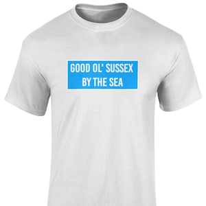 Brighton FC Bueno Ol Sussex Junto Al Mar