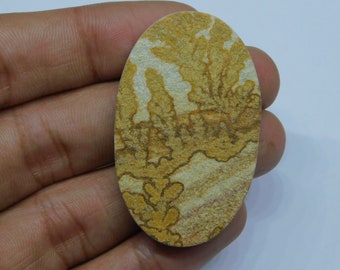 Psilomelane Dendrite Agate Cabochon, Druzy Agate, Druse Cabochon, Agate Cabochon, Fossil Cabochon, Psilomelane Fossil, 46 x 28 mm, 70 cts.