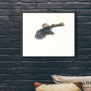 Giclée Fine Art Print; &quot;Sculpin&quot; By Andrew Wyeth; Painting Circa 1928. Fine Art Print; Giclée Print; Andrew Wyeth Art Print; Wyeth Art