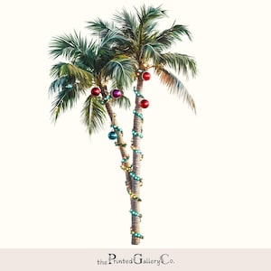 May include: Two palm trees decorated with Christmas lights and baubles. The trees are lit with white lights and have red, pink, and blue baubles.