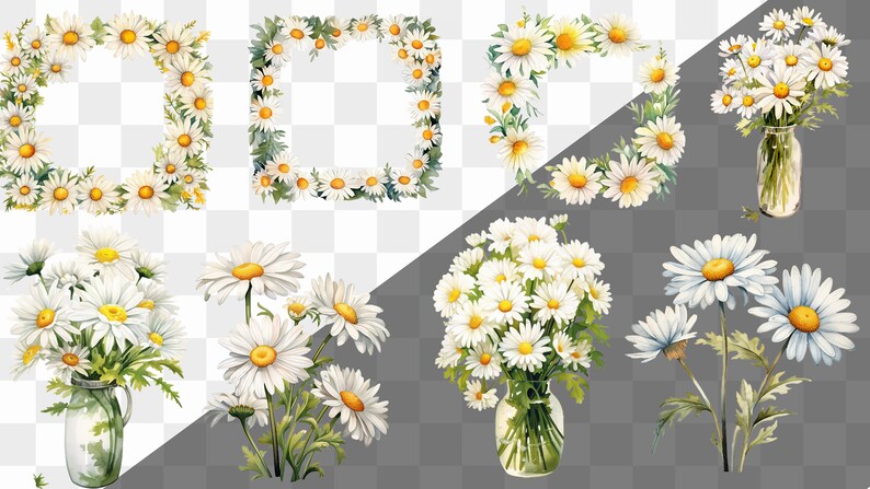 May include: A set of digital clipart featuring white daisies in various arrangements. The daisies are arranged in wreaths, bouquets, and individual stems. The images are perfect for crafting, scrapbooking, and digital design projects.