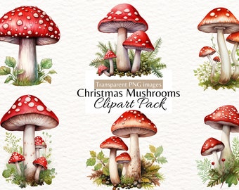 May include: A set of watercolour illustrations of red and white Christmas mushrooms with white spots. The mushrooms are depicted in various sizes and arrangements, with some featuring a cluster of smaller mushrooms growing around a larger one. The illustrations are set against a white background.