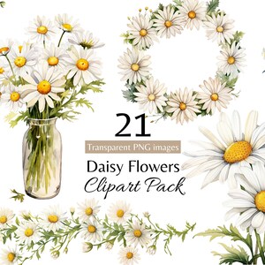 May include: A set of 21 watercolor illustrations of white daisies with yellow centers. The daisies are arranged in various bouquets, wreaths, and single flowers. The illustrations are perfect for crafting, scrapbooking, and digital design.