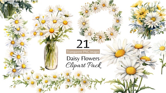 Spring Daisy Clipart | Watercolor April Birth Flower Clip Art | Flower Crown & Frame Overlays for Sublimation Digital Sticker Scrapbooking