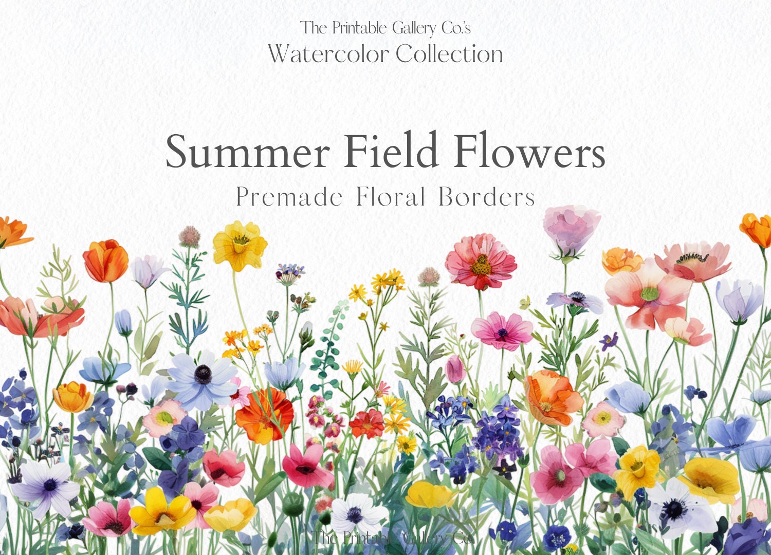 Watercolor summer flowers, Watercolors floral fields, Premade borders, Wild flowers png, Floral border, Wild flower clip art, Commercial Use