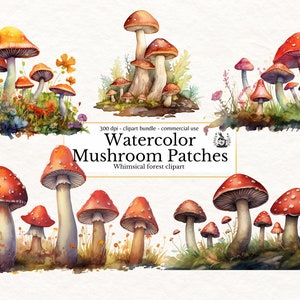 Champignon fantastique & bordures d'herbe Clip Art, clipart champignon vénéneux mignon pour sublimation, PNG imprimable pour usage commercial Clipart Nature champignon