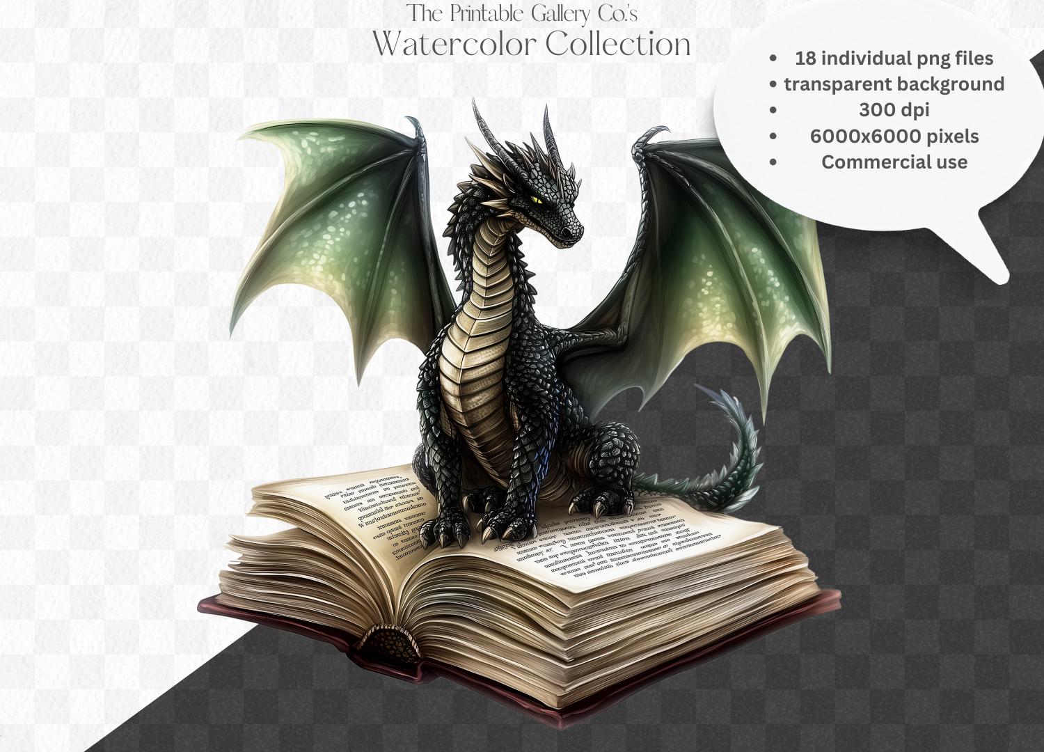 18 Dragons Clipart Book PNG Bundle, Fantasy Books Clip Art Digital ...
