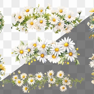 May include: A collection of white daisy flower arrangements, including a wreath, a garland, and bouquets. The flowers are painted in a watercolor style with green leaves and stems.