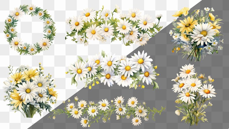 May include: A collection of white daisy flower arrangements, including a wreath, a garland, and bouquets. The flowers are painted in a watercolor style with green leaves and stems.