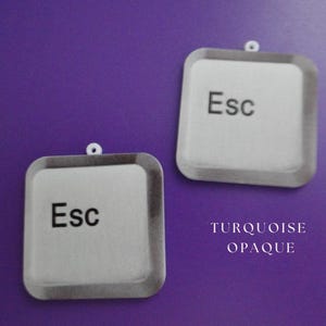 May include: Two square-shaped ornaments with the word "Esc" printed on them. The ornaments have a white background with a gray border and a small loop at the top for hanging. The background is a solid purple color.