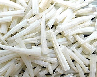 Ridged Dentalium, .5" to 1", Natural, Quality, For Jewelry Making and Crafts, Format: 25g = 0.055 Pounds = 0.88 Ounces, Unsorted, Natural