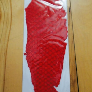 May include: A piece of red, textured material, possibly leather or fabric, is sealed in a clear plastic bag. The material has a scale-like pattern and is a vibrant shade of red.