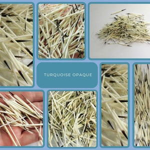 May include: A close-up image of a pile of white and black porcupine quills. The quills are sharp and pointy, and they are arranged in a random pattern. The text "TURQUOISE OPAQUE" is visible in the image.