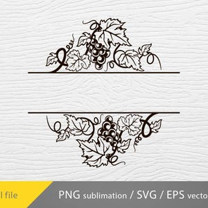 Puede incluir: Ilustración en blanco y negro de una vid con uvas. La vid está enroscada y tiene hojas. Las uvas están agrupadas. El diseño es perfecto para un monograma o un elemento decorativo.