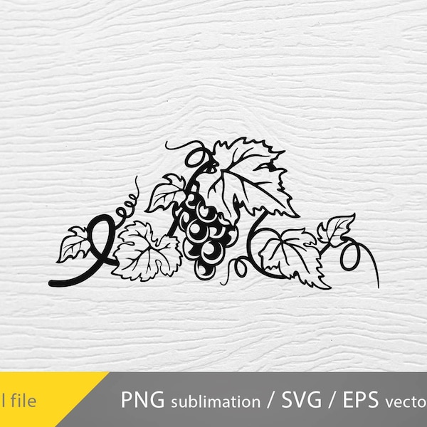 Weinrebe svg, Weinblätter svg, Weinrebewanddekor, Weinrebeblätter svg, Weinrebezweig svg, Weinrebevektor, Weinblatt svg Traube dekorativ