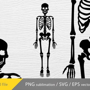 May include: Black and white silhouette of a skeleton with a skull, rib cage, and bones. The skeleton is standing upright with arms at its sides. The image is suitable for Halloween decorations or crafts.