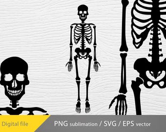 Pode incluir: Silhueta preta e branca de um esqueleto com crânio, caixa torácica e ossos. O esqueleto está de pé com os braços ao lado do corpo. A imagem é adequada para decorações ou artesanato de Halloween.