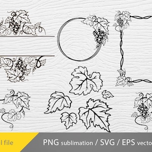 Grape vine svg, grape leaves svg, grape vine wall decor, vine leaves svg, vine branch svg, grape vine vector, Vine leaf svg grape decorative