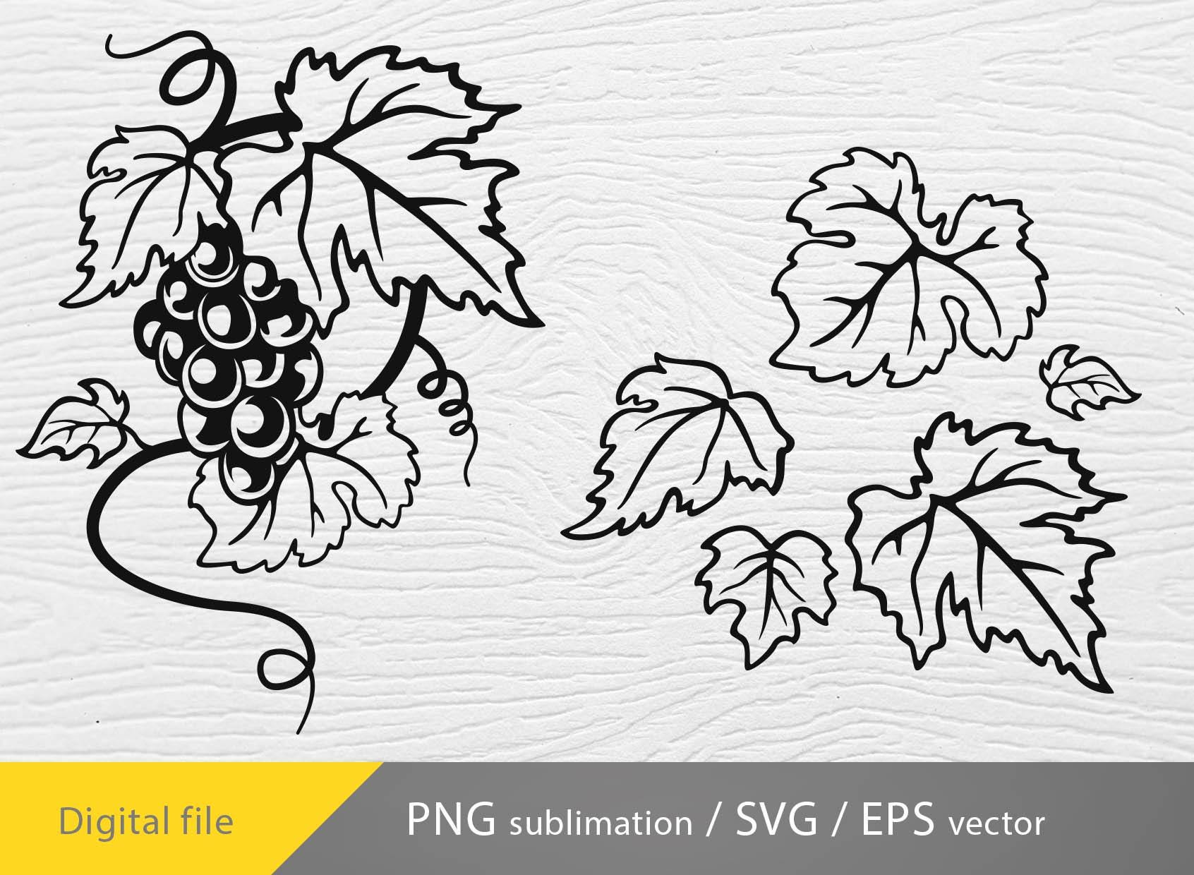 Grape vine svg, grape leaves svg, grape vine wall decor, vine leaves svg, vine branch svg, grape vine vector, Vine leaf svg grape decorative