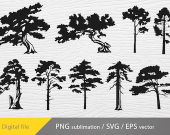 Evergreen Tree Vector, pine tree svg, pine tree silhouette, pine tree bundle, pine tree png, pine graphic
