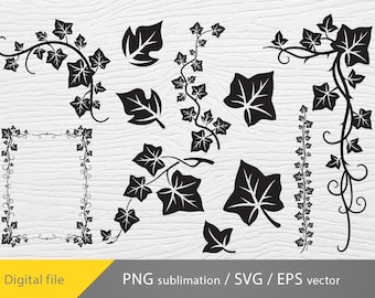 ivy leaf svg, ivy svg, cricut file, vines svg, ivy leaf bundle