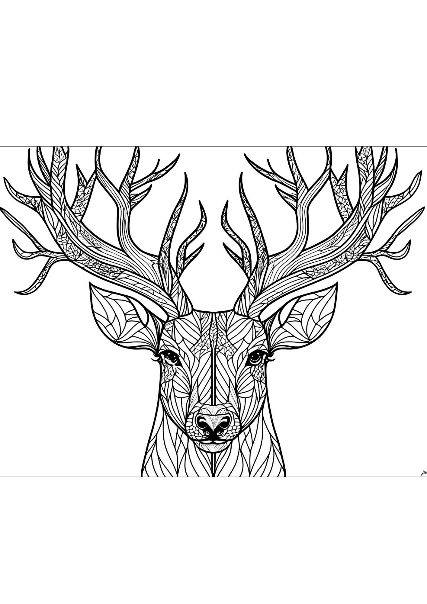 14 Printable Cute Animals Coloring Pages for Kids and Adults Digital