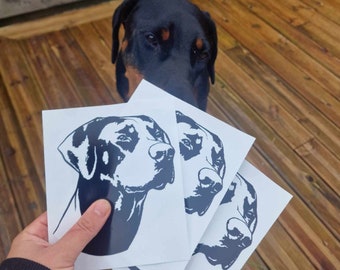 Sticker Dobermann au naturel ( autocollant pour véhicule, ordi, portail... )