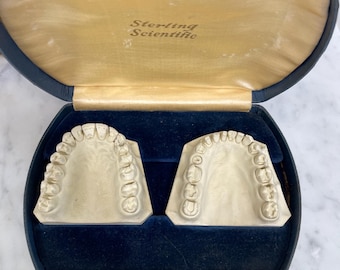 Vintage Dental Teeth Molds in a Case