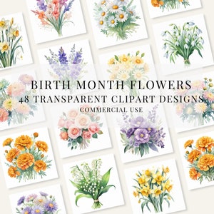 48 aquarel geboortemaand bloemen clipart, verjaardag clipart, maand bloemen illustratie, dagboek png, commercieel gebruik. Direct downloaden