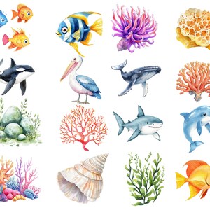 以下が含まれることがあります： 様々な海洋生物とサンゴ礁の要素を描いた水彩画。  青いクジラ、サメ、ペリカン、タツノオトシゴ、ヒトデ、貝殻、サンゴ礁、そして様々な魚が含まれています。