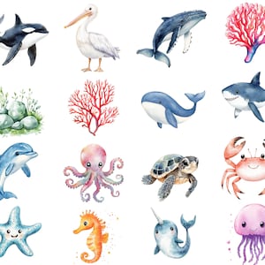 以下が含まれることがあります： 様々な海の生き物を描いた水彩画。クジラ、イルカ、タコ、タツノオトシゴ、クラゲ、カニ、カメ、ヒトデなど。サンゴや海藻も描かれている。