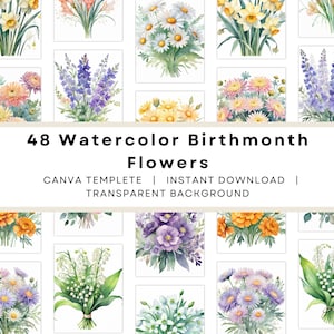 48 Aquarell Geburtstagsmonat Blumen Clipart Bundle, Birthflower Clipart PNG, Birthflower Printable, Blumenstrauß Grafik, Botanische Clipart