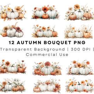 Paquete de 12 imágenes prediseñadas de calabazas en acuarela, imágenes prediseñadas florales de calabaza, elementos de acuarela de otoño, imágenes prediseñadas de septiembre, ramos de otoño, imágenes prediseñadas de otoño