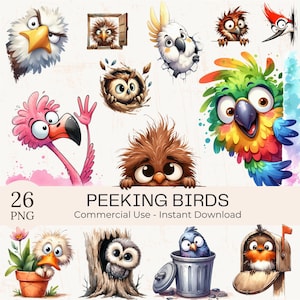 Watercolor Peeking Birds Clipart: 26 Funny PNG Images (Commercial Use)