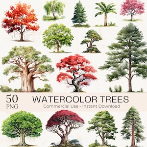 Aquarell Bäume Clipart Bundle: 50 PNG+JPG Illustrationen zu Pflanzen und Pflanzen (Digitaler Download)
