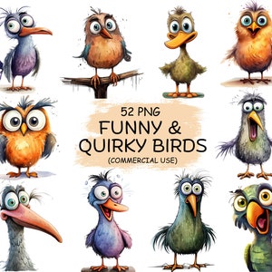 52 Funny and Quirky Birds Clipart PNG Bundle - Watercolor Cute Bird Clip Art | Printable Transparent Art | Digital Download | Commercial Use