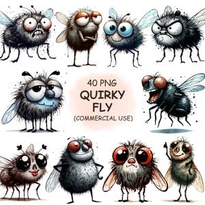 Quirky Fly Insect Clipart PNG Bundle – 40 Funny  Watercolor Bug Illustrations | Cute Silly Insects Art | Digital Download, Commercial Use