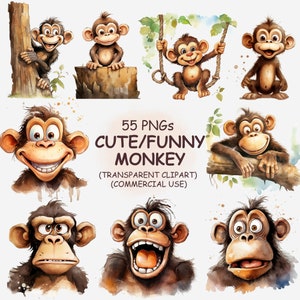 Funny Cute & Quirky Monkey Clipart PNG Bundle - 55 Watercolor Animals Humor Clip Art | Premium Quality | Instant Download | Commercial Use