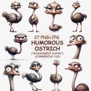 Paquete de imágenes prediseñadas de avestruz, lindo y divertido, PNG y JPG - 27 imágenes prediseñadas de avestruz de dibujos animados con humor peculiar en acuarela - Descarga digital para uso comercial