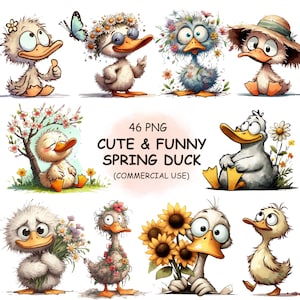 Paquete de imágenes PNG de patos primaverales divertidos y adorables: 46 patos de acuarela peculiares con detalles florales, descarga digital, uso comercial incluido