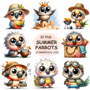 Cute & Funny Summer Parrots Clipart PNG Bundle - 30 Funny Watercolor Beach Bird, Quirky Animals, Digital Download, Commercial Use