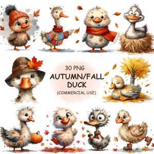 Paquete de imágenes prediseñadas de patos otoñales, adorables y divertidos: imágenes PNG de patos otoñales, pájaros peculiares y animales acogedores para sublimación y manualidades (uso comercial)
