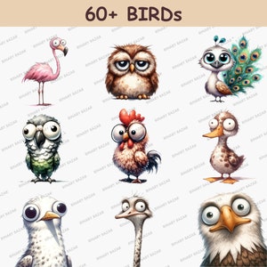 K&ouml;nnte beinhalten: Eine Sammlung von &uuml;ber 60 Cartoon-V&ouml;geln mit verschiedenen Farben und Ausdr&uuml;cken. Zu den V&ouml;geln geh&ouml;ren ein rosa Flamingo, eine Eule, ein Pfau, ein Papagei, ein Hahn, eine Ente, ein Strau&szlig; und ein Adler.
