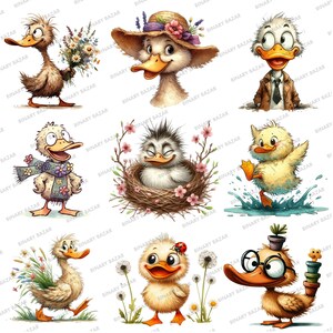 May include: A collection of nine illustrations featuring cute cartoon ducks in various settings. The ducks are depicted wearing hats, scarves, and glasses, and are shown holding flowers, sitting in nests, and splashing in water.