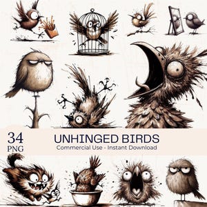 Puede incluir: Colección de ilustraciones de aves caprichosas, estilo caricatura, en tonos marrón y negro. Las aves muestran expresiones y poses exageradas, algunas en jaulas o posadas en ramas. El texto dice "UNHINGED BIRDS" y "34 PNG".